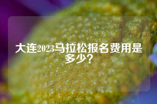 大连2023马拉松报名费用是多少？