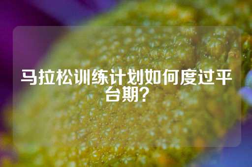 马拉松训练计划如何度过平台期？