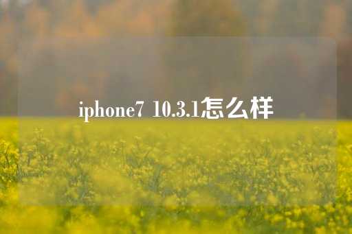 iphone7 10.3.1怎么样